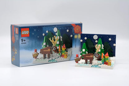 LEGO 40484 Santa's Front Yard 2021 Edition Christmas SetAge 9+ - image 2