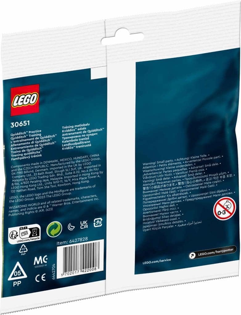 LEGO Harry Potter: Quidditch Practice Polybag 30651 - image 2
